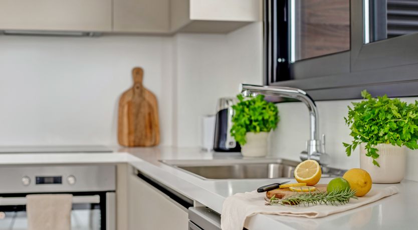 Photo of Cityscape Oasis