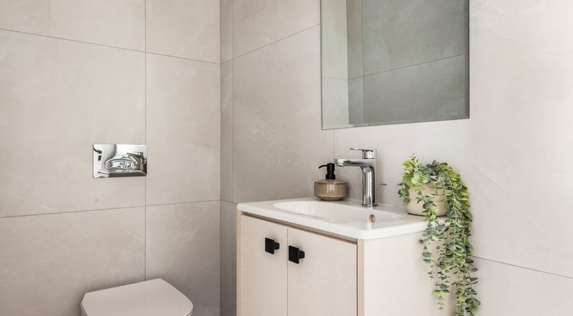 Photo of Cityscape Oasis