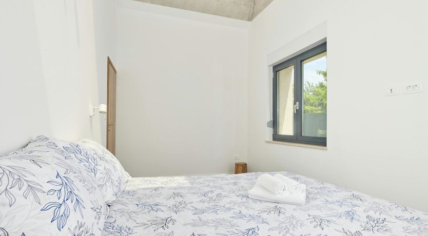 Photo of The Dreamer's Song