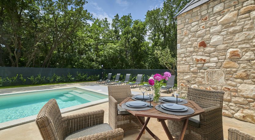 Photo of The Dreamer's Song