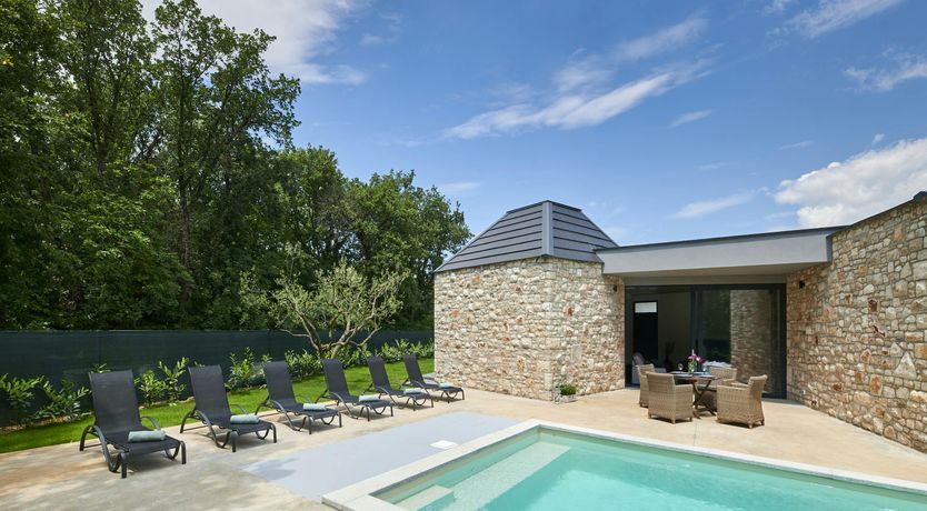 Photo of The Dreamer's Song