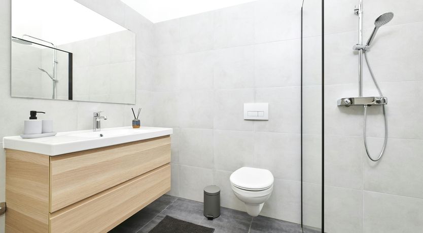 Photo of The Dreamer's Song