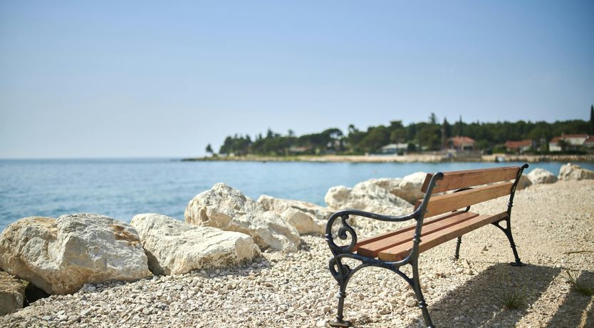 Photo of The Dreamer's Song