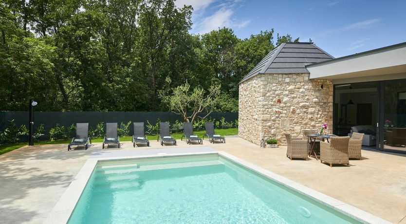 Photo of The Dreamer's Song