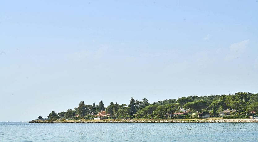 Photo of The Dreamer's Song