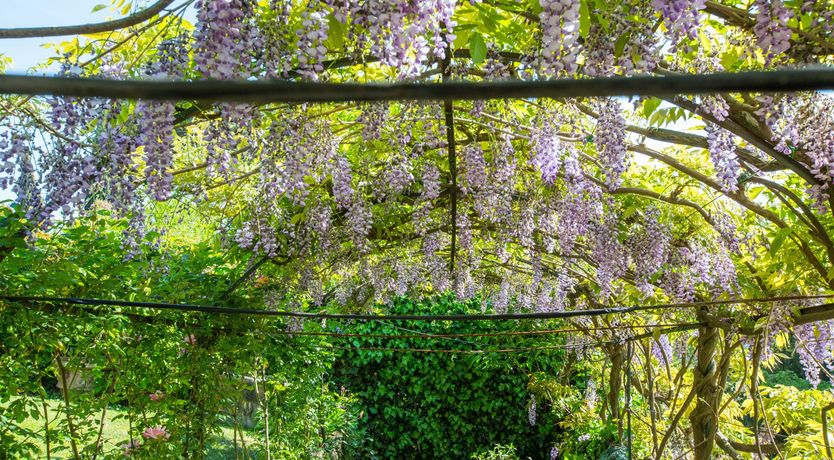 Photo of Brunelleschi's Eye