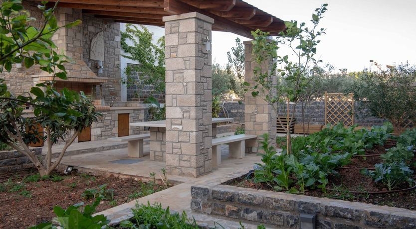 Photo of Moon Bounce