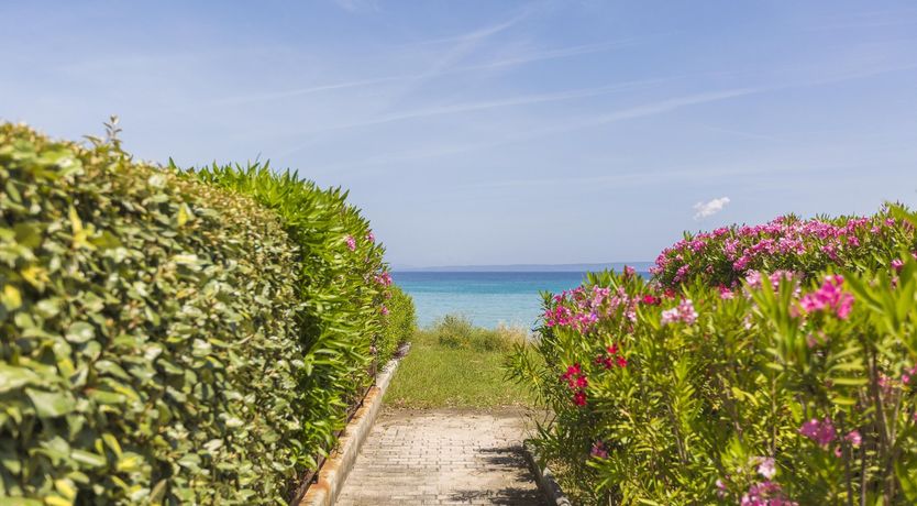 Photo of Mediterranean Mellow