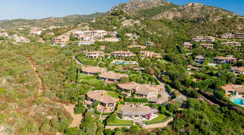 Photo of Bougainvillea Kiss