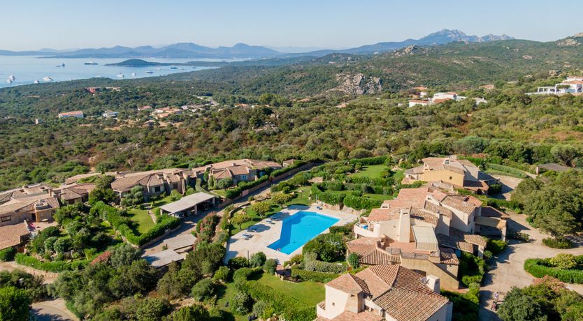 Photo of Bougainvillea Kiss