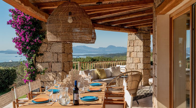 Photo of Bougainvillea Kiss