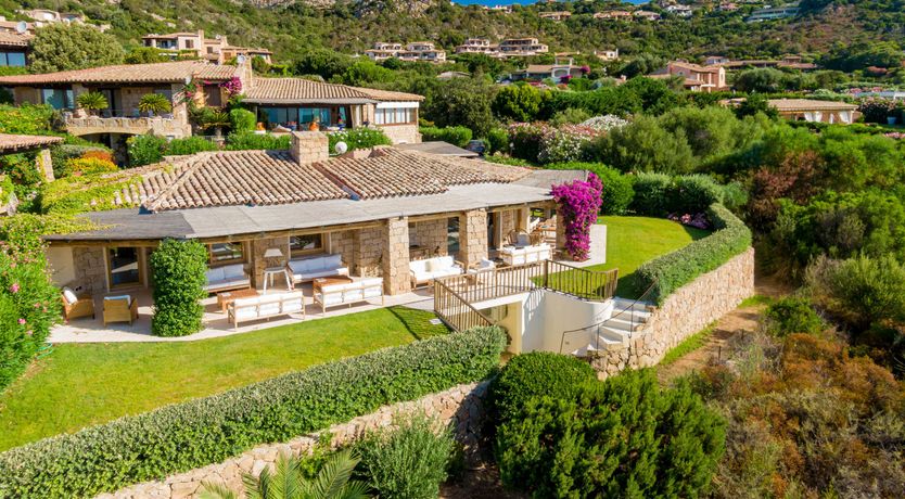 Photo of Bougainvillea Kiss