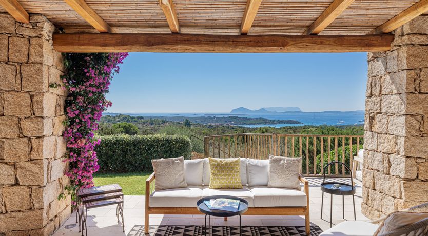 Photo of Bougainvillea Kiss