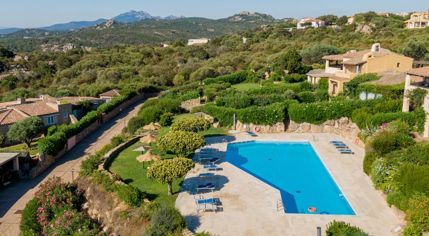 Photo of Bougainvillea Kiss