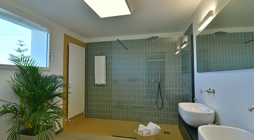 Photo of The Blue Haze