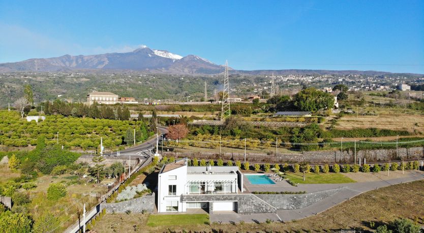 Photo of The Blue Haze