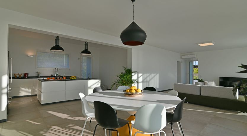 Photo of The Blue Haze