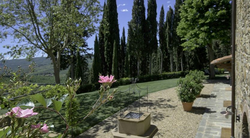 Photo of Olive Skies