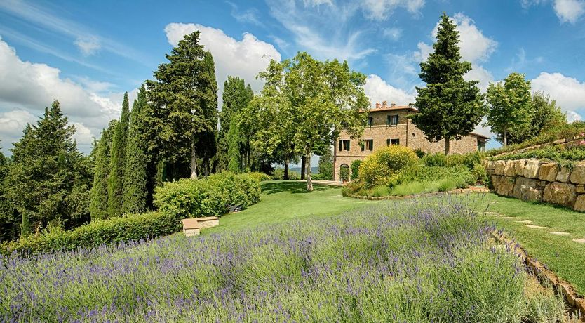 Photo of Olive Skies