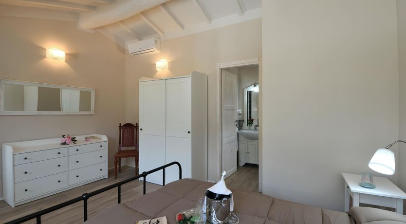 Photo of The Vine Run