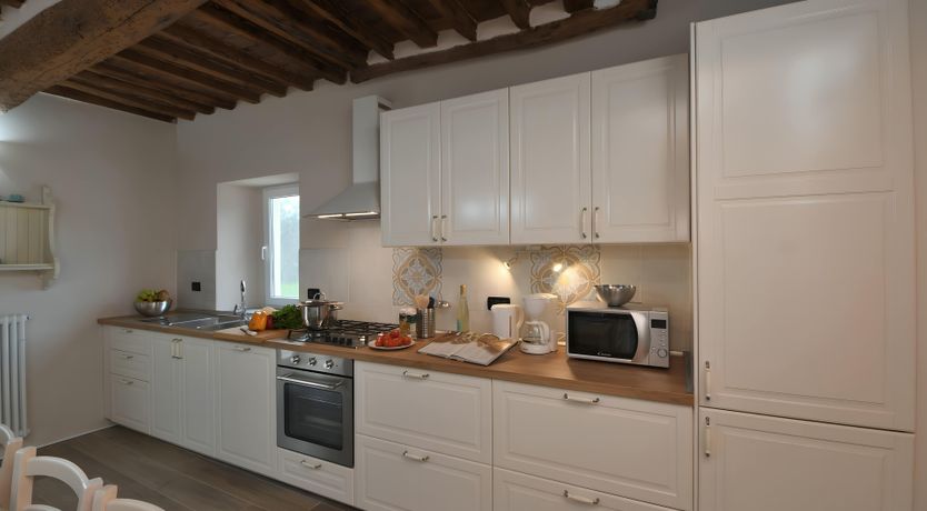 Photo of The Vine Run