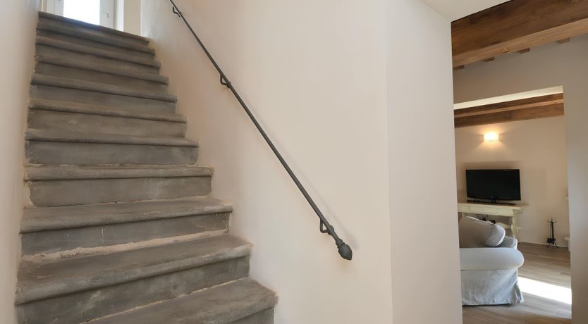 Photo of The Vine Run