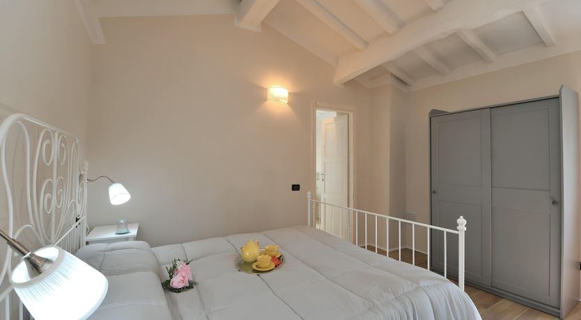 Photo of The Vine Run