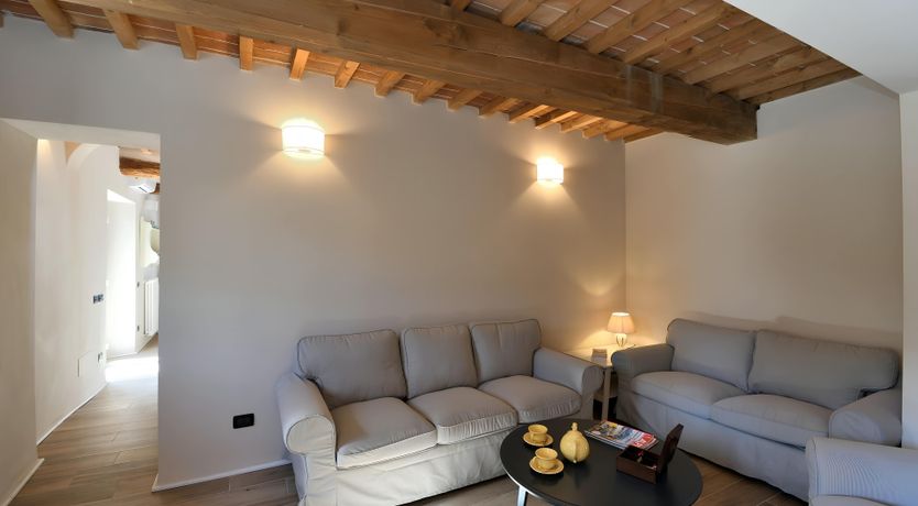 Photo of The Vine Run