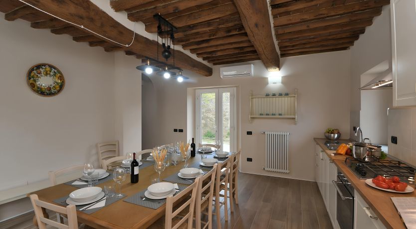 Photo of The Vine Run