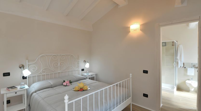 Photo of The Vine Run