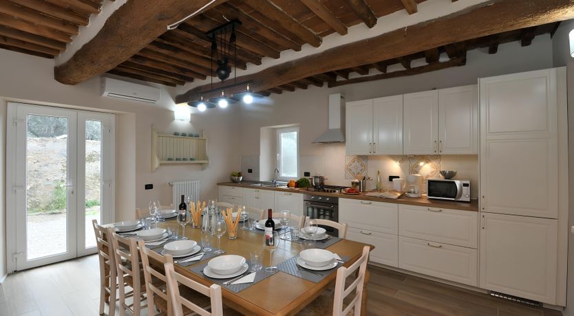 Photo of The Vine Run