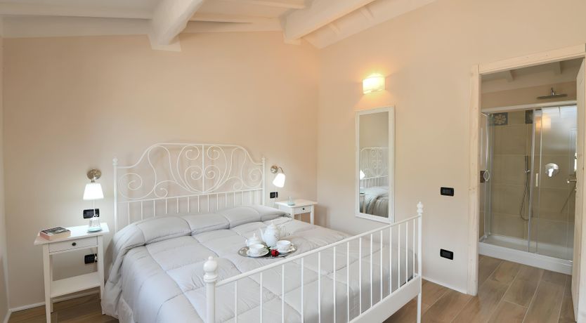 Photo of The Vine Run