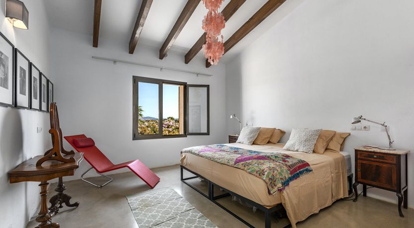 Photo of The Palms of the Sun