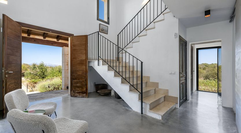 Photo of The Palms of the Sun