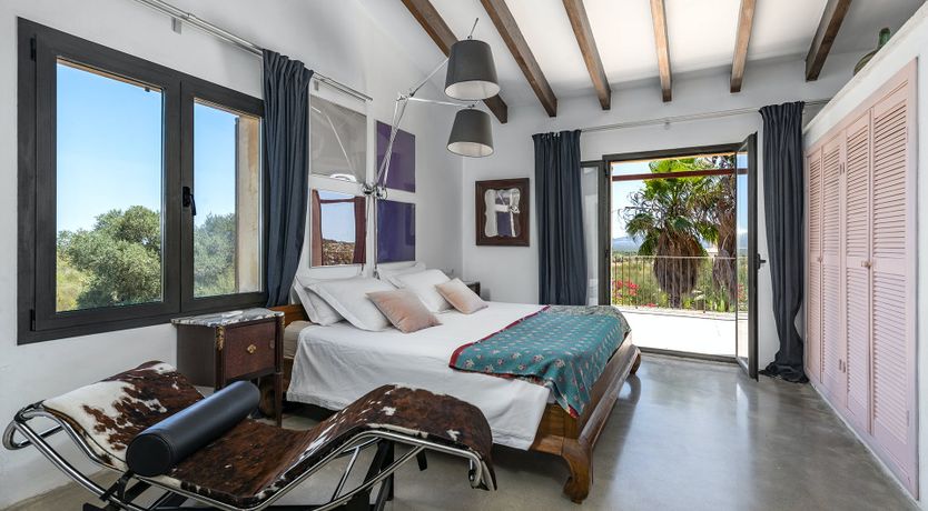 Photo of The Palms of the Sun