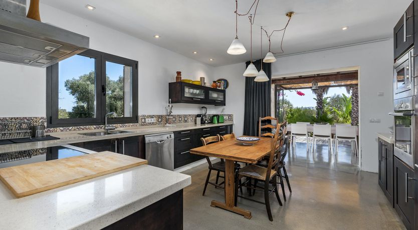 Photo of The Palms of the Sun