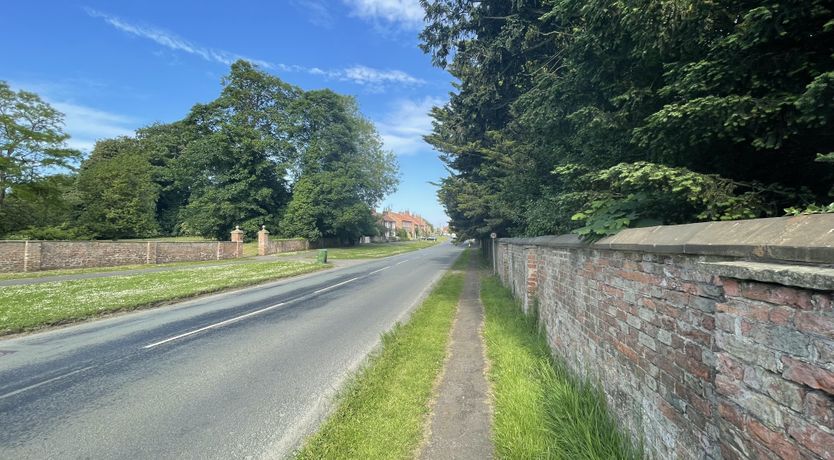 Photo of The Woodlark