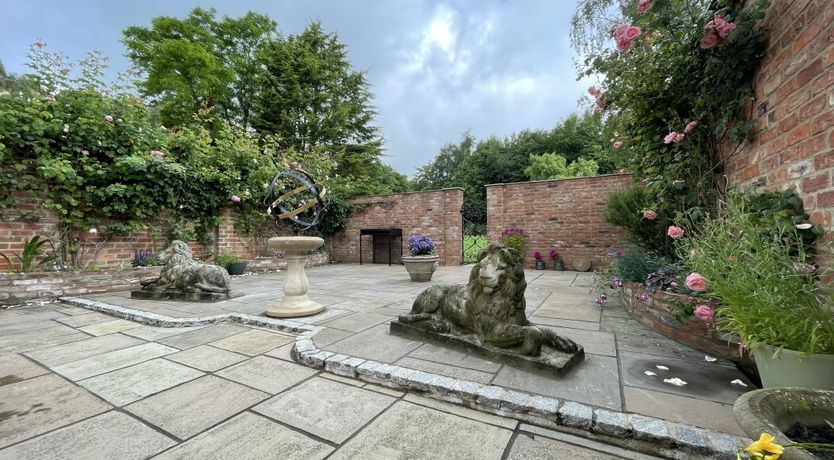 Photo of The Woodlark