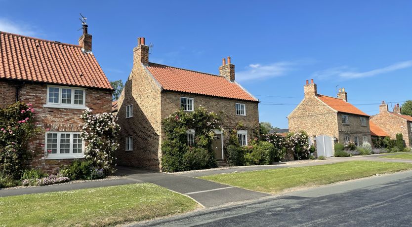 Photo of The Woodlark