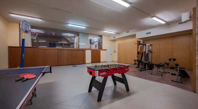 Photo of The Vine Vineyard