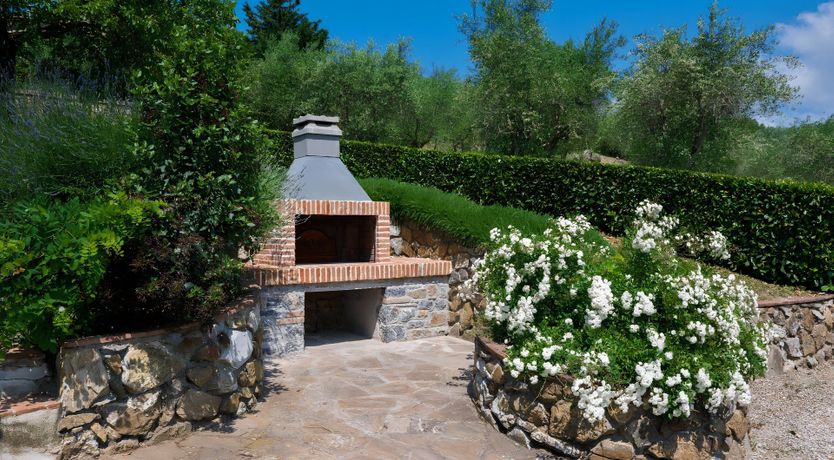 Photo of The Vine Vineyard