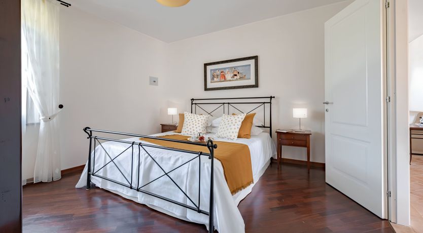 Photo of The Vine Vineyard