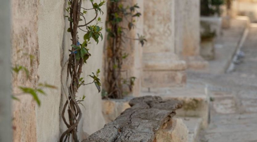 Photo of A Dream in Stone