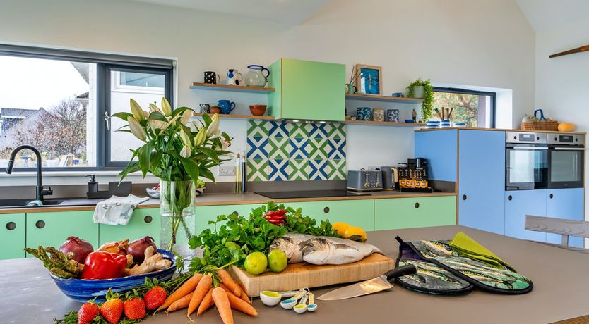 Photo of The Bay Dreams