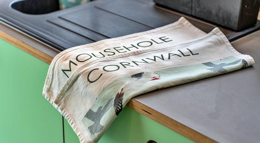 Photo of The Bay Dreams