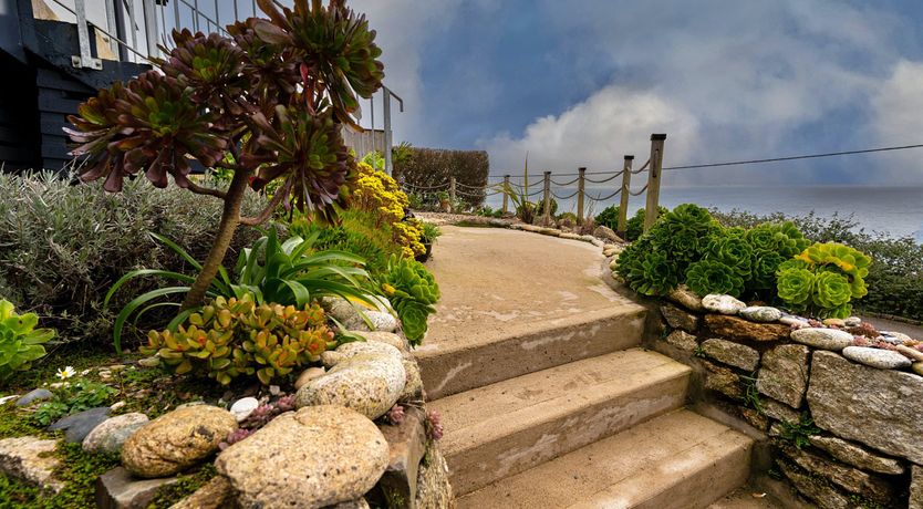 Photo of The Bay Dreams