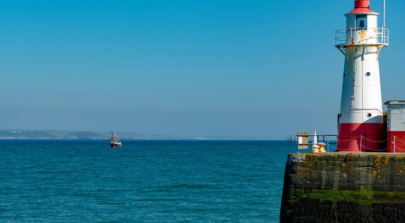 Photo of The Bay Dreams