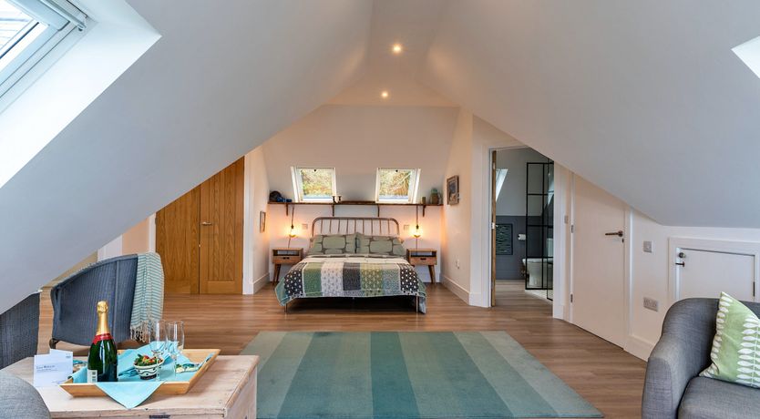 Photo of The Bay Dreams