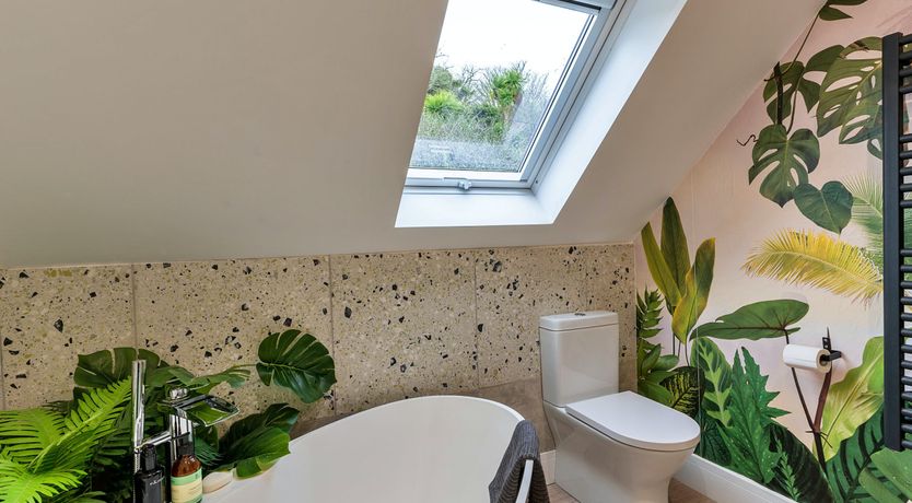 Photo of The Bay Dreams