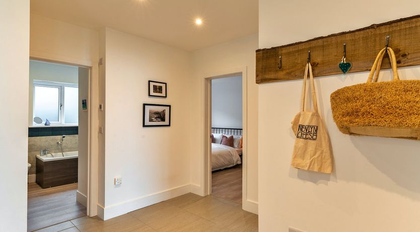 Photo of The Bay Dreams